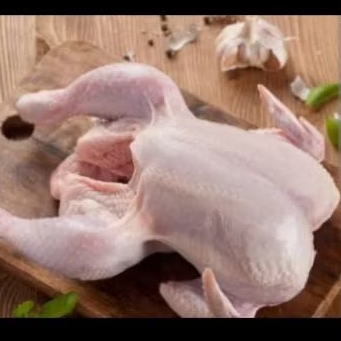 

ayam karkas broiler ukuran 400 SD 500 gram