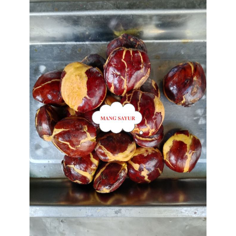 

jengkol jepara 500gr mang mang sayur