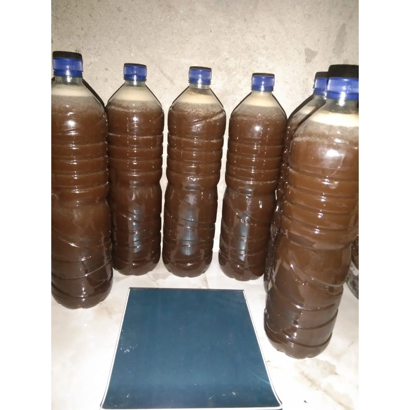 

(Madu Klanceng Asli Kemasan 1kg)