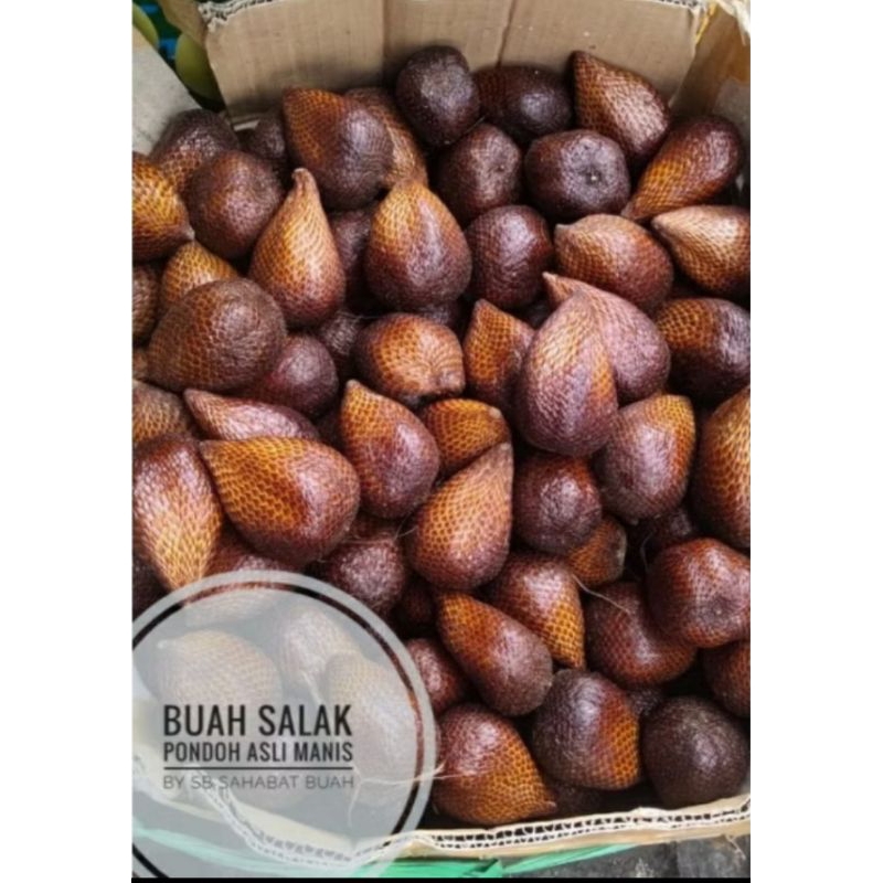 

1KG SALAK PONDOH MANIS BUAT TAMBAHAN DI JAMIN MANIS DAN BESAR2