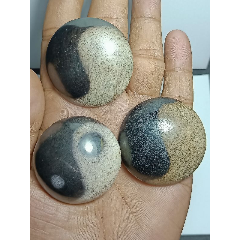 Batu Posil Galih Kelor Motip Yin Yang , Jumbo