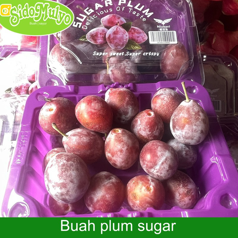 

Buah Plum sugar fresh manis (1pcs) 500gr | ud sidomulyo fresh