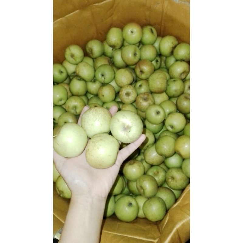 

Apel Malang Manalagi 1kg