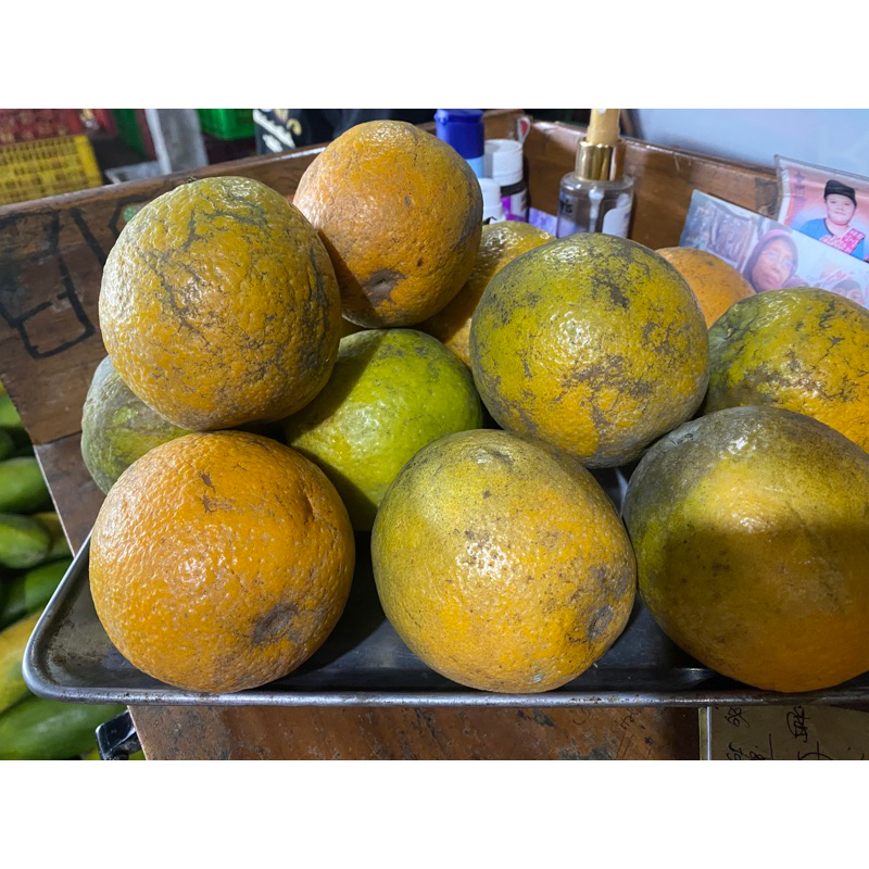 

jeruk baby java(dipotong)