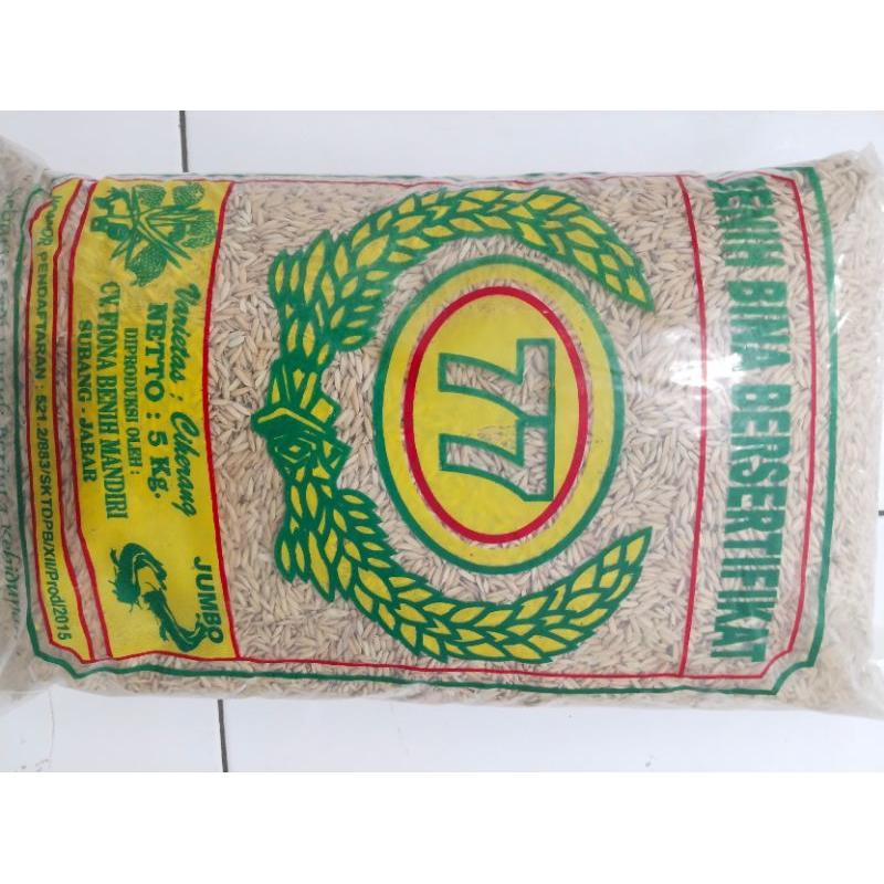 BENIH PADI Varietas Ciherang 77 (Jumbo) 5 kg