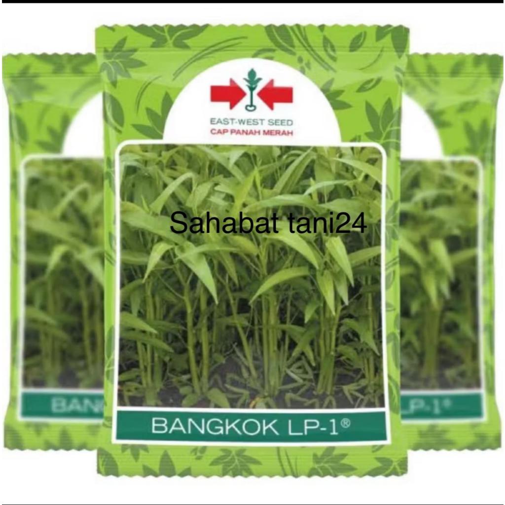 ( 1 KG ) Benih KANGKUNG BANGKOK LP1 1 kg panah merah kangkung panah merah