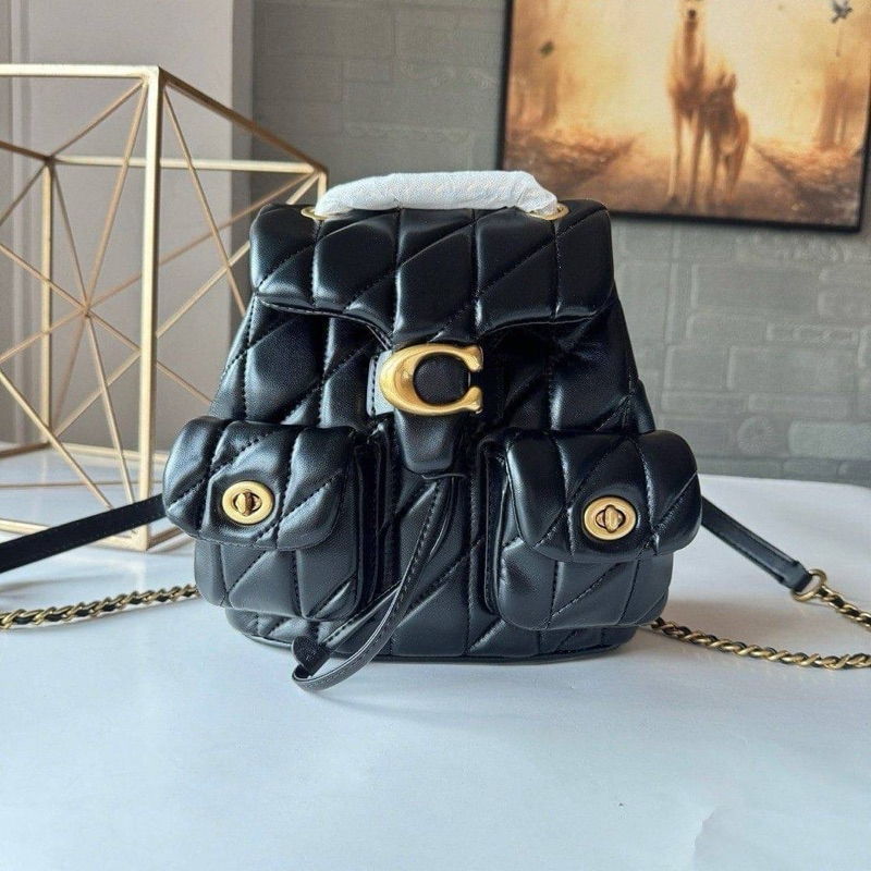 ch tabby pollow backpack