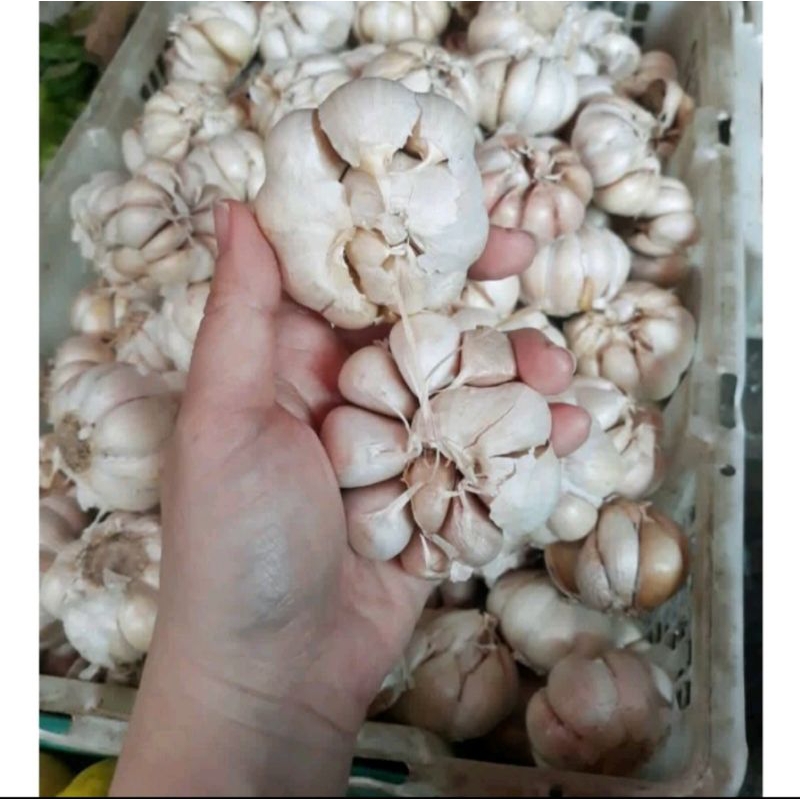 

Bawang Putih 500 gr