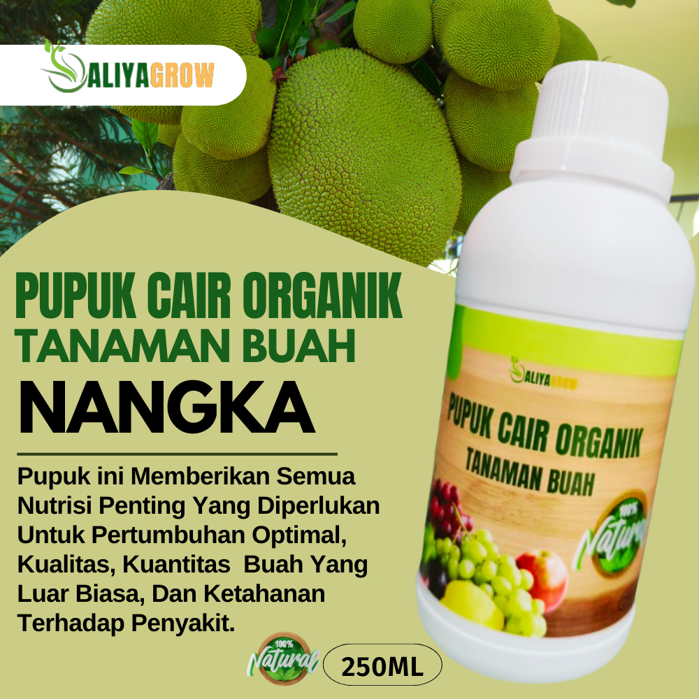 pupuk nangka/pupuk nangka cepat berbuah/pupuk nangka super lebat/pupuk booster nangka