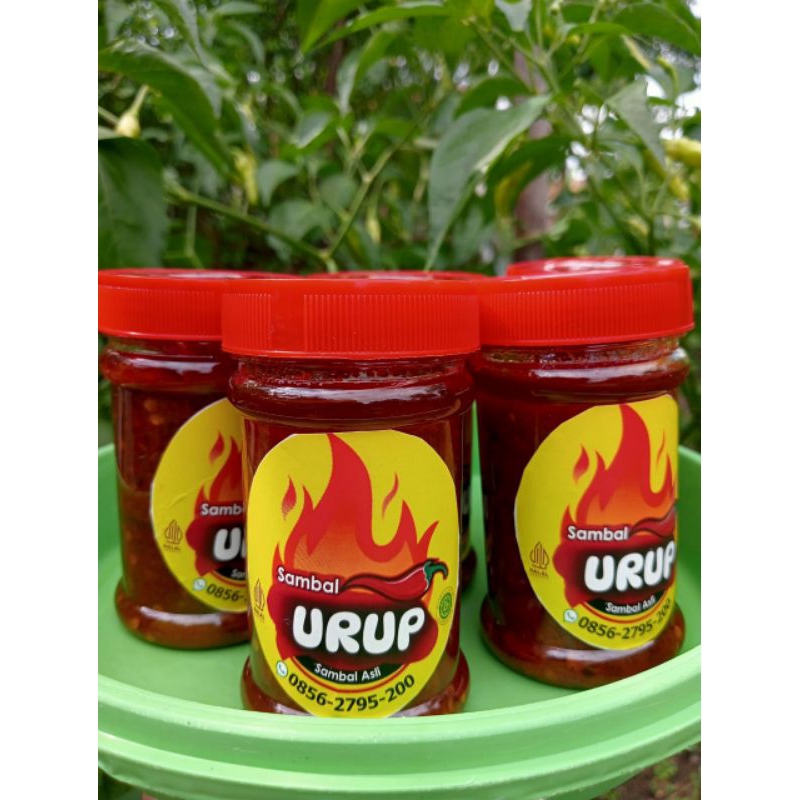 

SAMBAL URUP UDANG