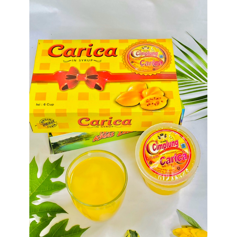 

CIMPLUNG CARICA DIENG Surya Adib Putra kemasan 220ml