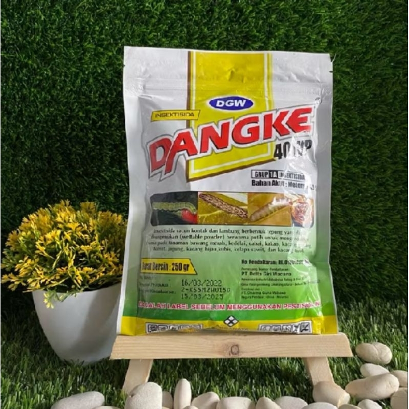 Dangke 250 gram