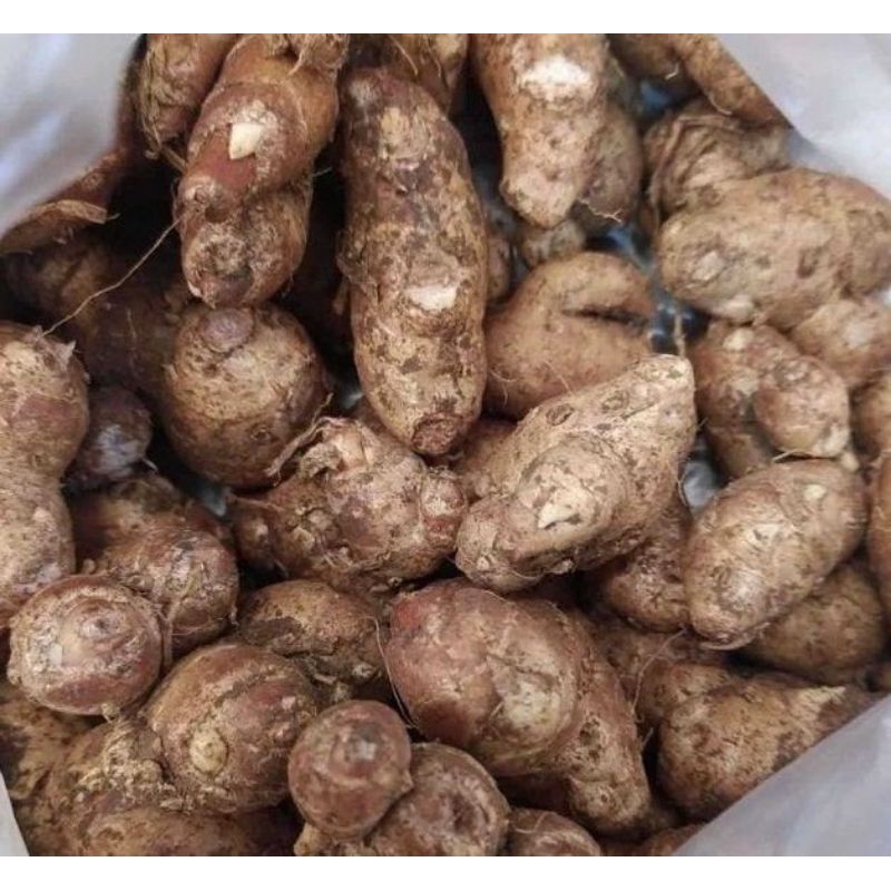 

kencur segar fresh murah kencur tua 250grm