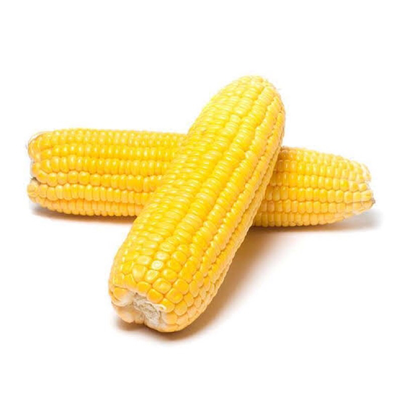 

Jagung manis fresh -sayur fresh