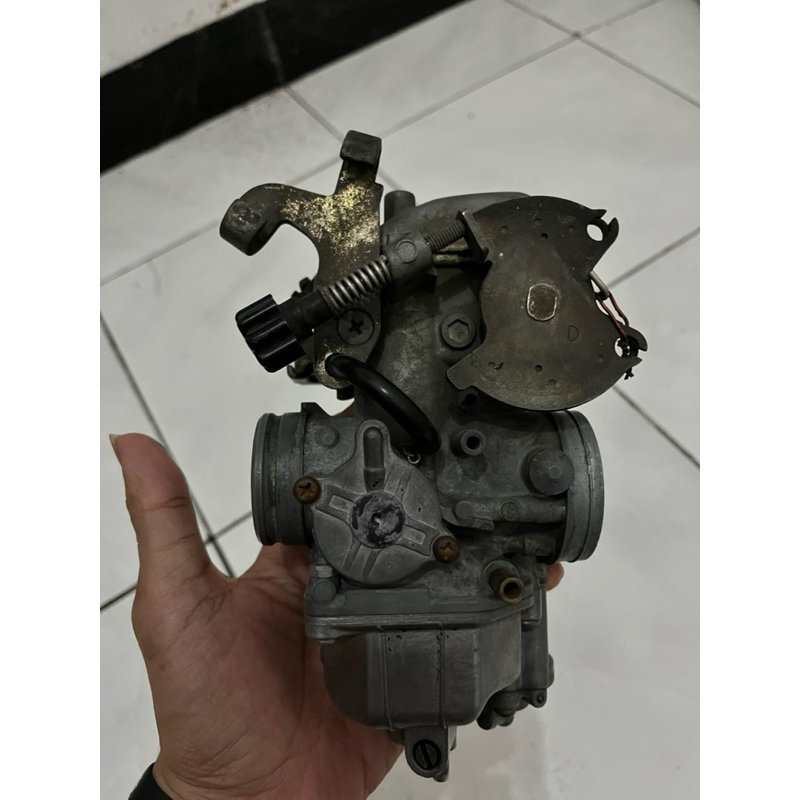 Karbu Tiger Original