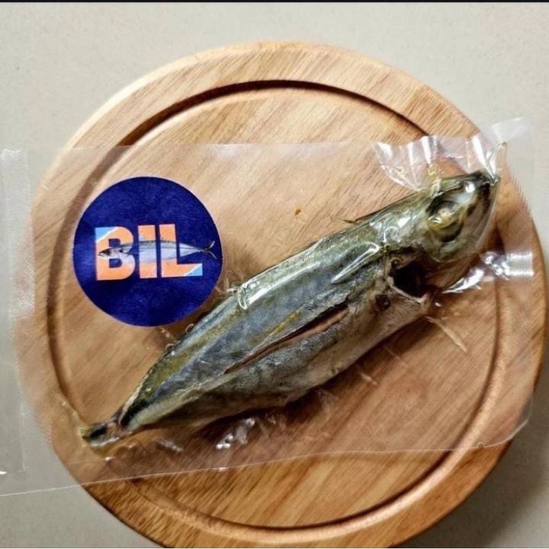 

Bil Ikan Malalugis (Small)