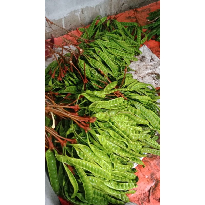 

PETE SUPER ISI 10 PAPAN