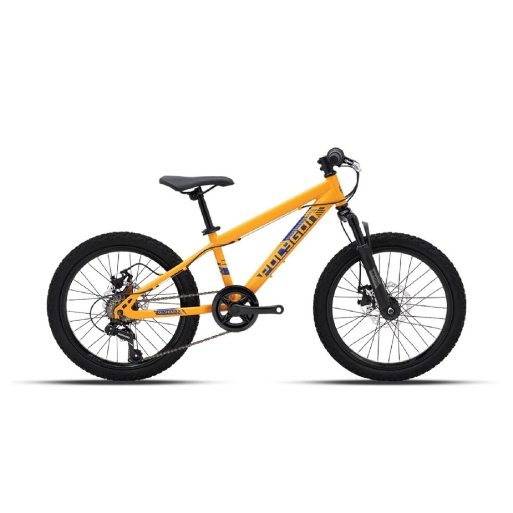 Sepeda MTB 20 Polygon Maze M20 - Montain Bike Polygon Maze M20