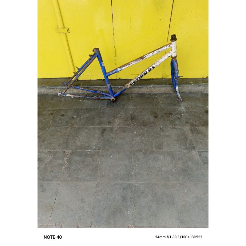 framefork sepeda federal lady 24 stray cat original
