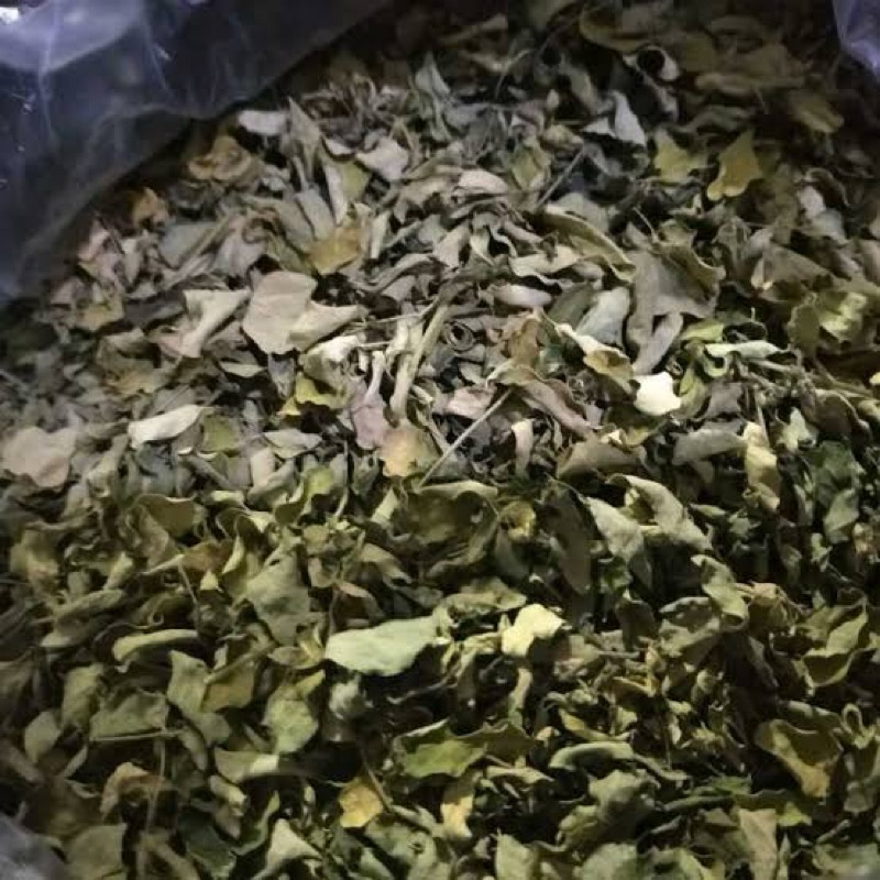 

daun kelor kering tanpa pengawet