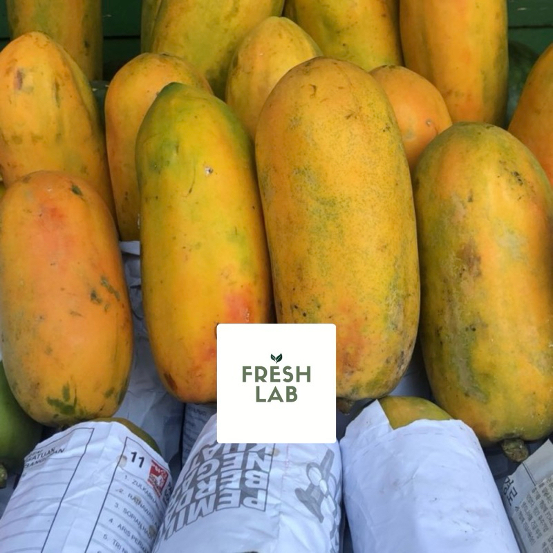 

Pepaya manis SUPER murah (1 buah)