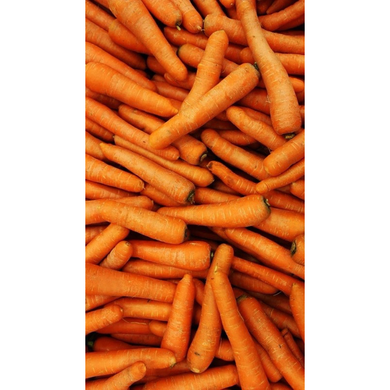 

wortel import 1pc (80-100gr), 250gr, 500gr