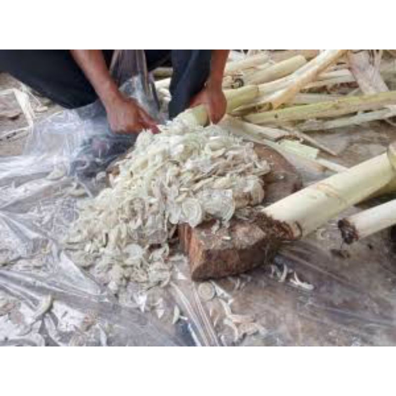 

Batang Pisang Muda cingcang - Kemasan 500Gram