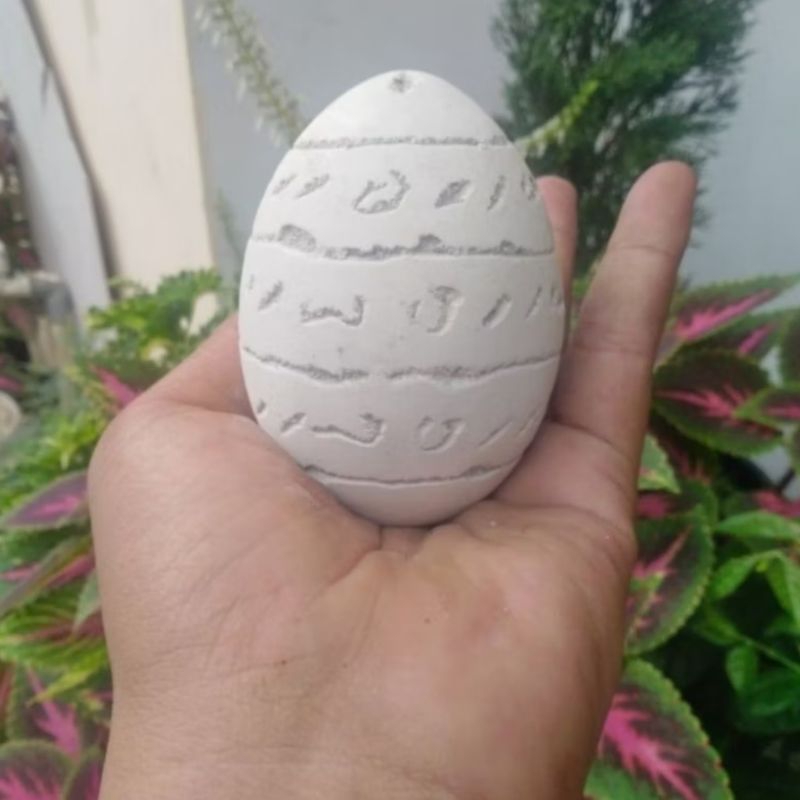 

Telur Angsa Klinting Telur Rajahan Telur Koclak Jumbo