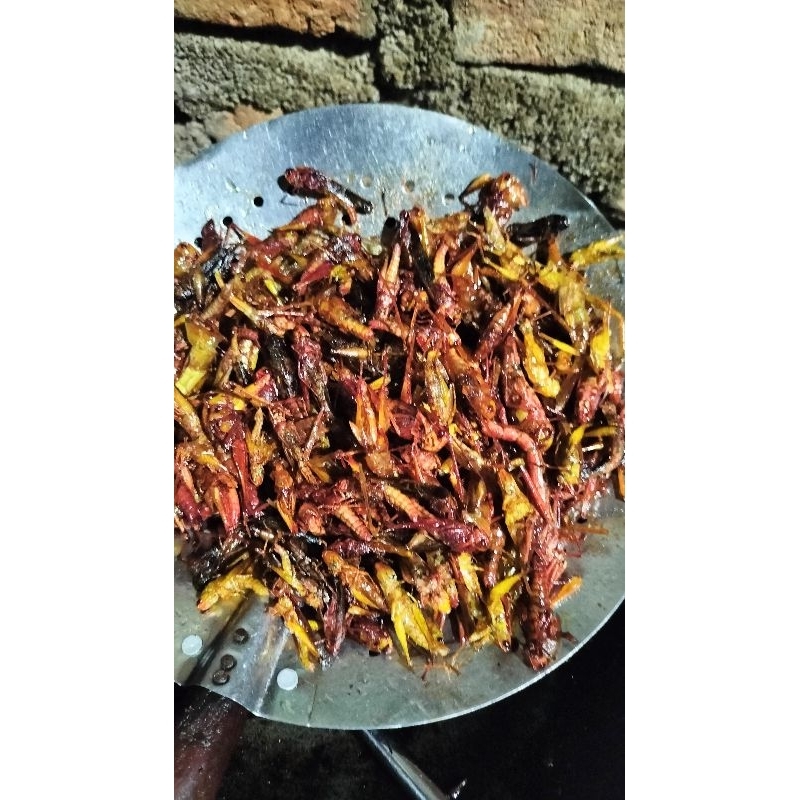 

BELALANGGORENG500gram