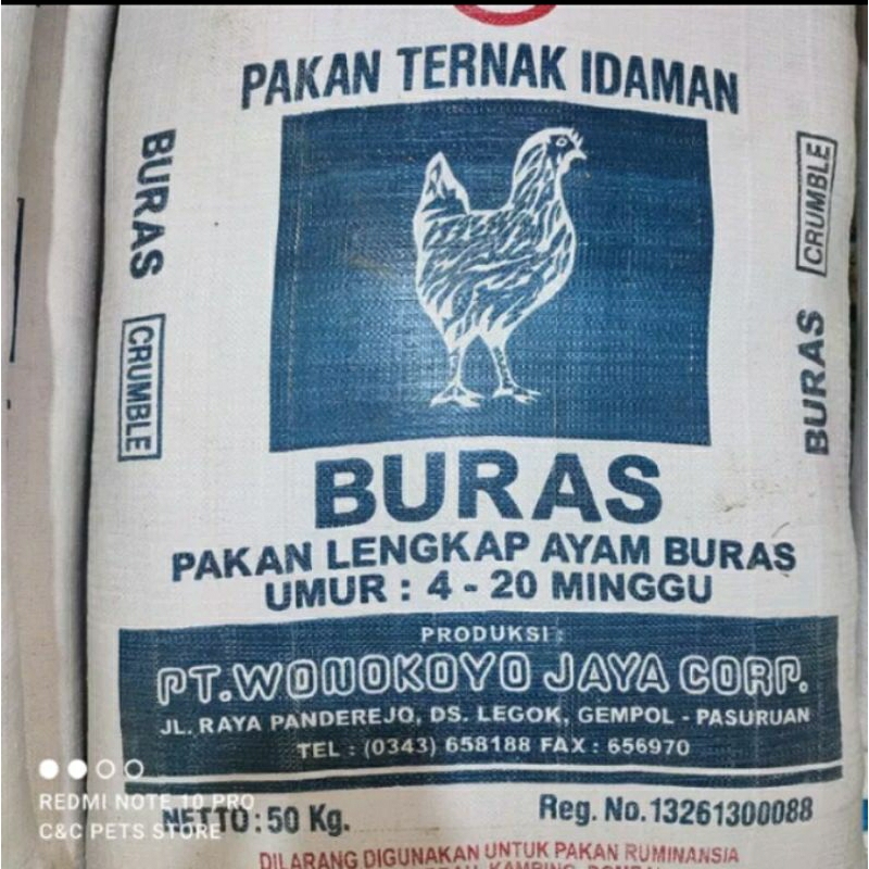 BURAS WONOKOYO PUR AYAM UNGGAS Anakan Dewasa