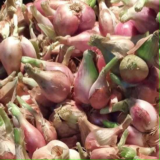 

Bawang Merah Kering Sumenep 500 gram
