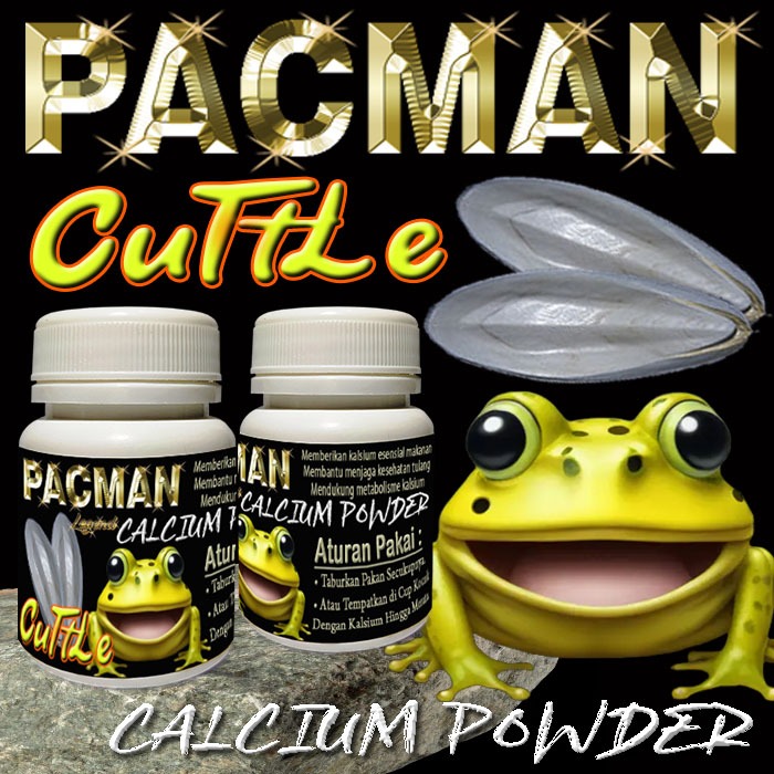PACMAN CUTTLE KALSIUM ALAMI KATAK KODOK PACMAN FROG STRAWBERRY CERATOPHRYS CRANWELLI BUBUK TULANG SO