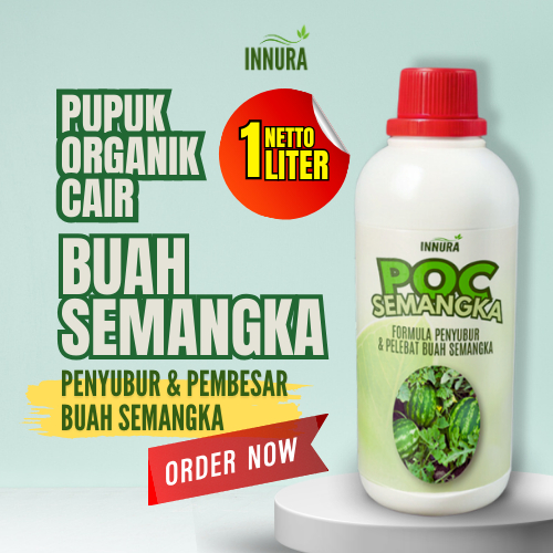 Pupuk Pembesar Buah Semangka Booster Penyubur Perangsang Tanaman Buah Semangka Manis ZPT Pemicu Buah