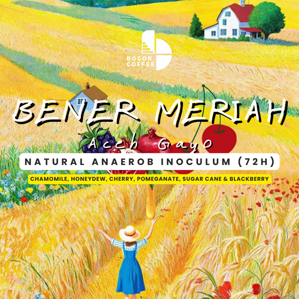 

Bener Meriah Aceh Gayo Specialty Coffee by Bogor Coffee Center - 100gr