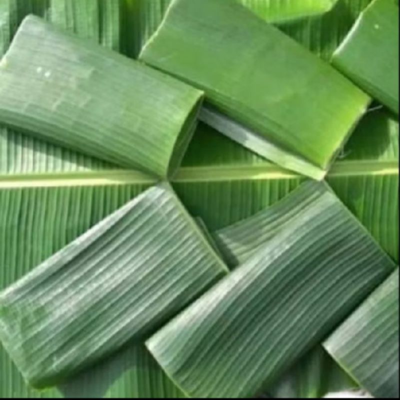 

DAUN PISANG ATAU DAUN GEDANG UNTUK PEMBUNGKUS MAKANAN UNTUK MEMPEROLEH RASA KHAS PEMAKAIYAN NYA DI ALUPULI DULU ATAU BIAR ALUM,LAYU