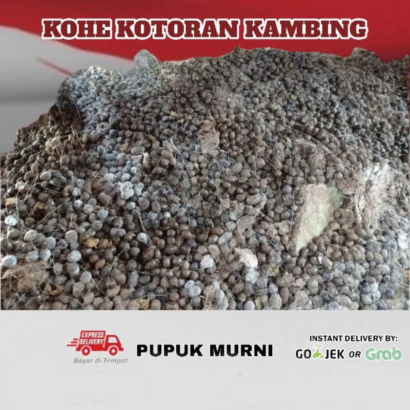 Termurah Pupuk kandang kohe kotoran hewan tai kambing terbaik pupuk tanaman pertanian perkebunan 1ki