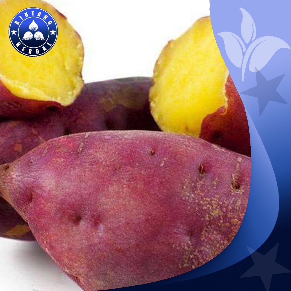 

JUAL UMBI MERAH ISI KUNING LOKAL MANIS \ 1KG - BINTANG HERBAL