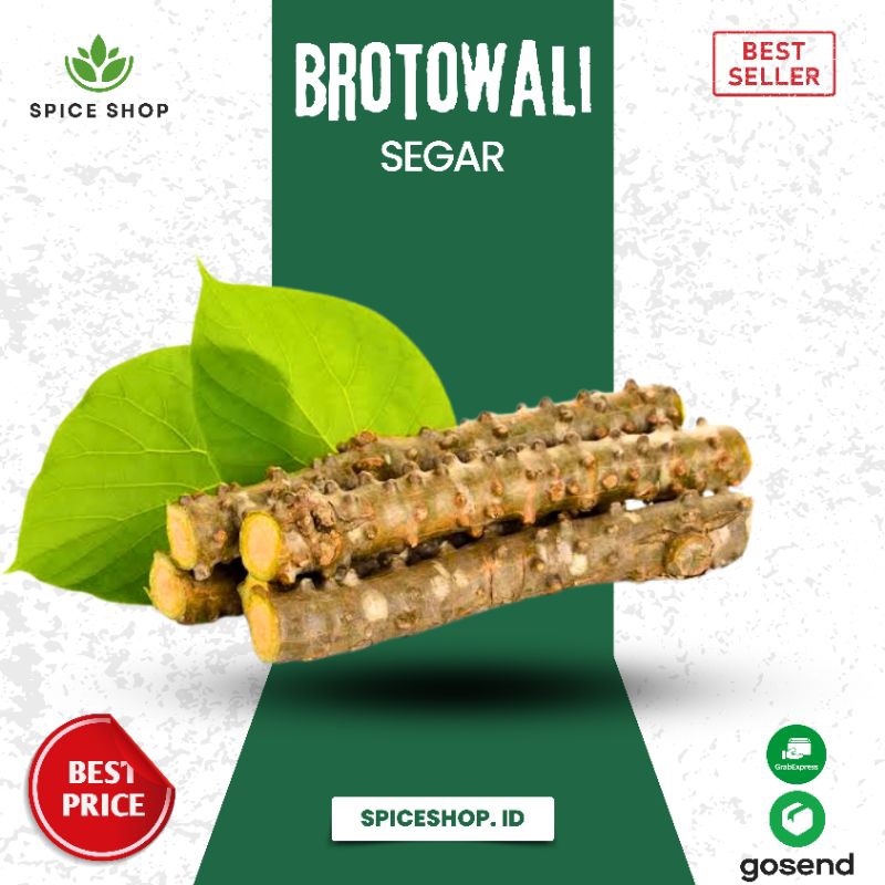 

Brotowali / Patrawali segar - Spiceshop