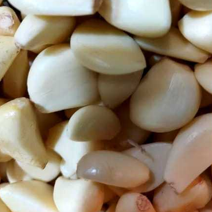 

RB Bawang Putih Kupas Bersih.