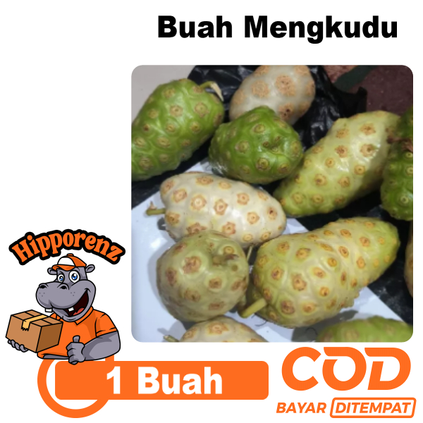 

Buah Mengkudu 1 Pcs Petik Dadakan