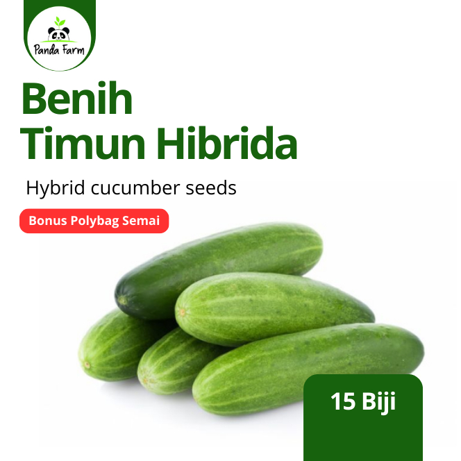 Isi 15 biji benib bibit timun hibrida lokal bibit unggul