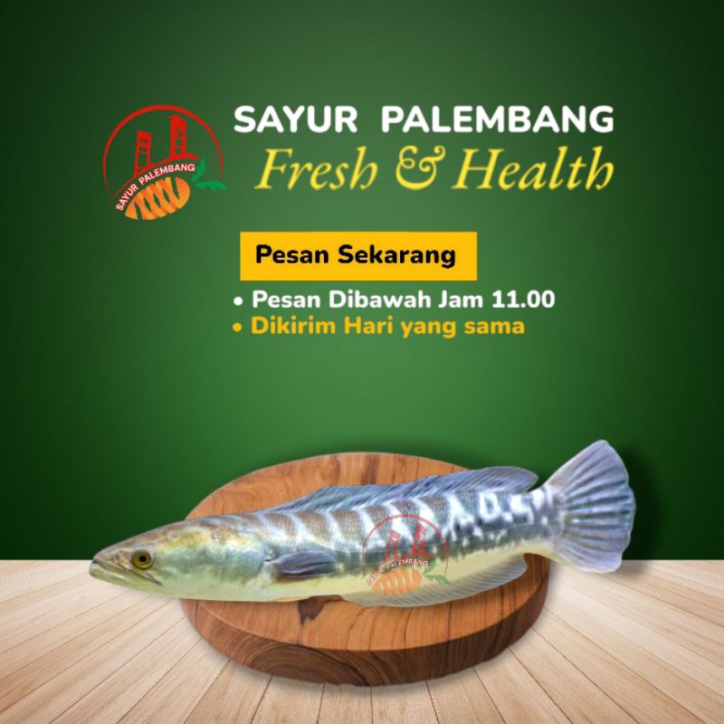 

Ikan Toman - Sayur Palembang