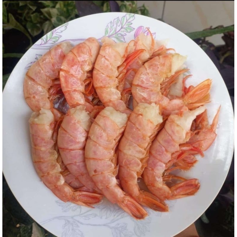 

Udang Merah Argentina