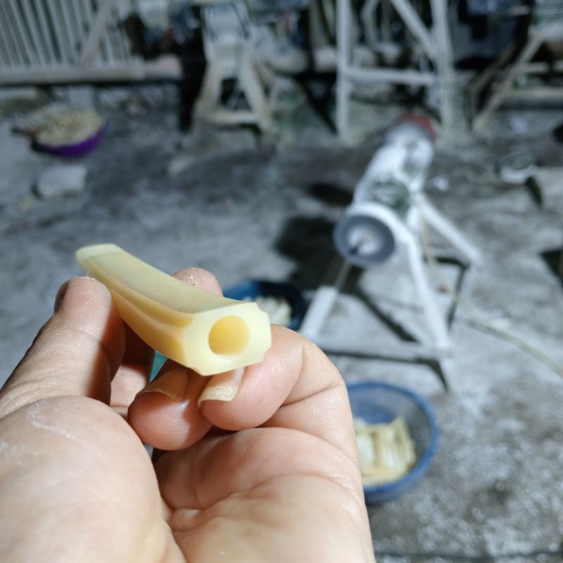 ONCE TULANG SAPI IMPORT MODEGG 7-9CM