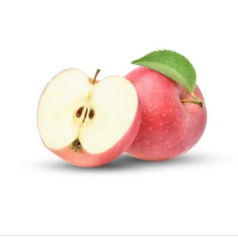 

1 biji benih bibit Apel Fuji Import