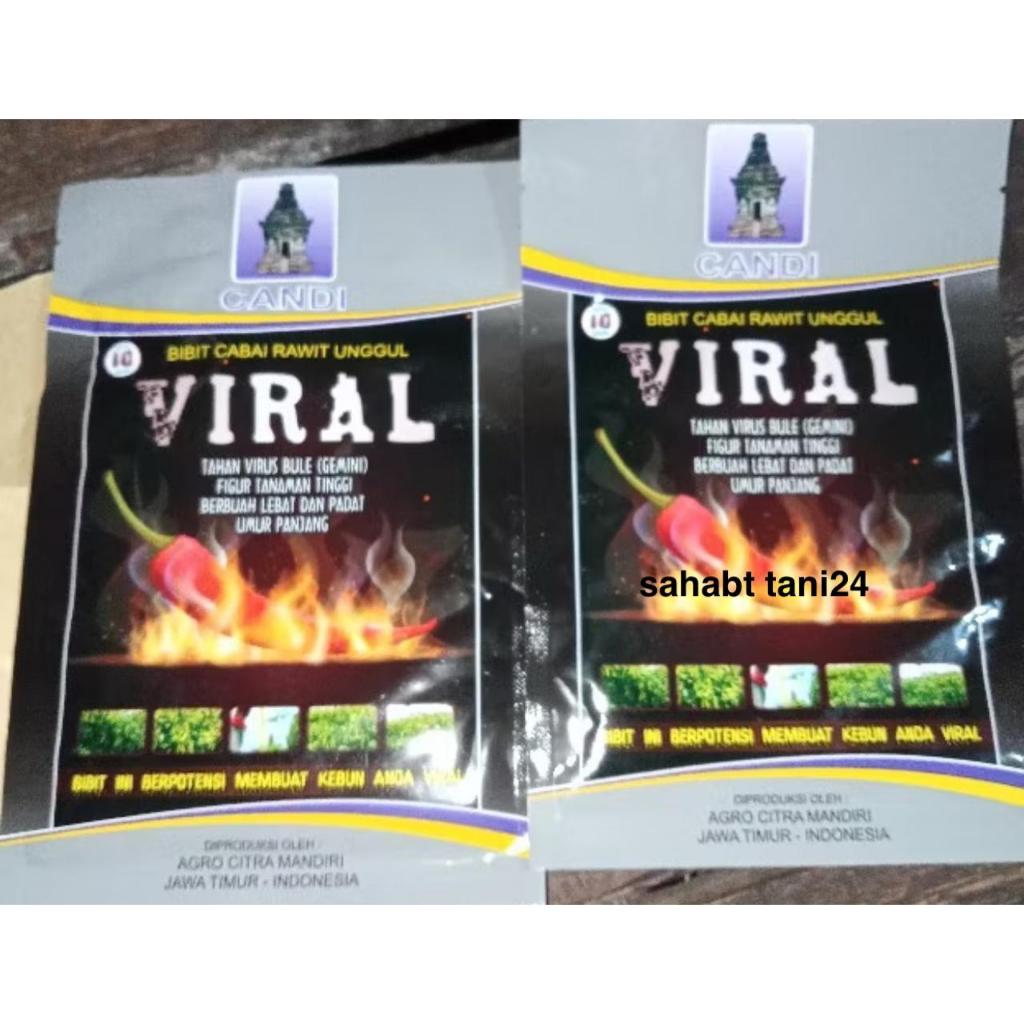 Benih cabe VIRAL 10 gram cabe rawit viral 10gr cap candi tahan penyakit cabe setan super pedas