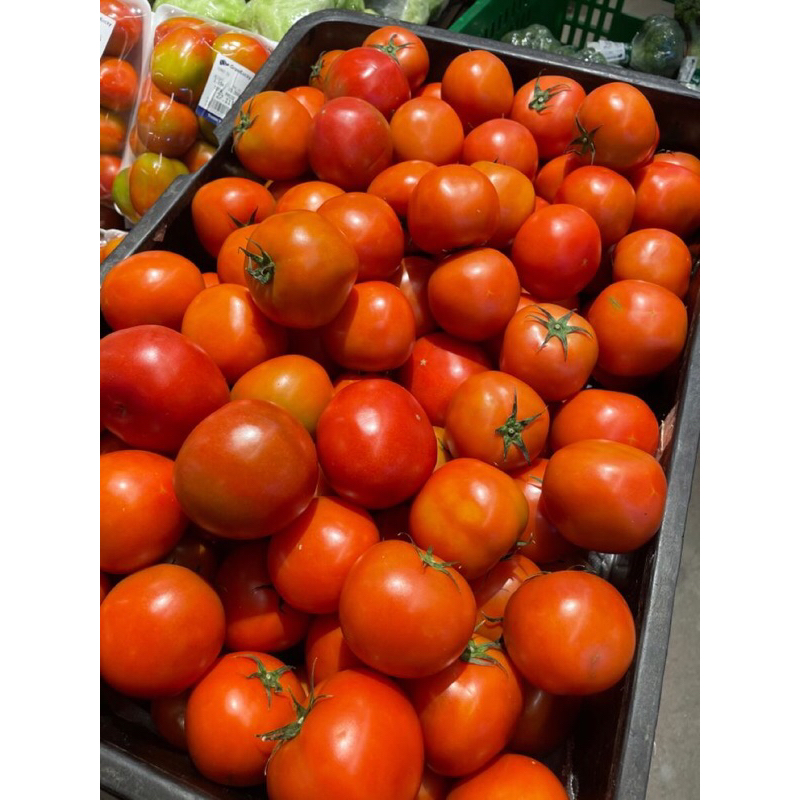

Tomat merah fresh 250g