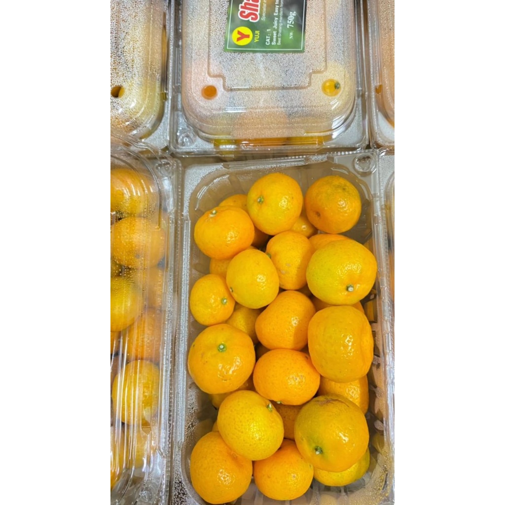 

JERUK SHANTANG MADU YUJI