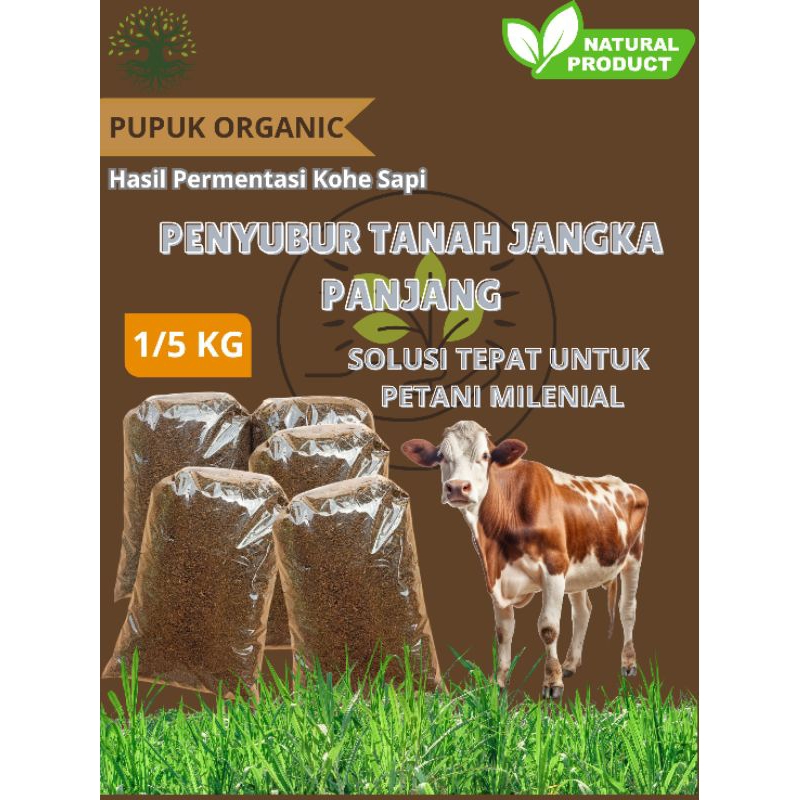 Pupuk kandang permentasi kohe sapi