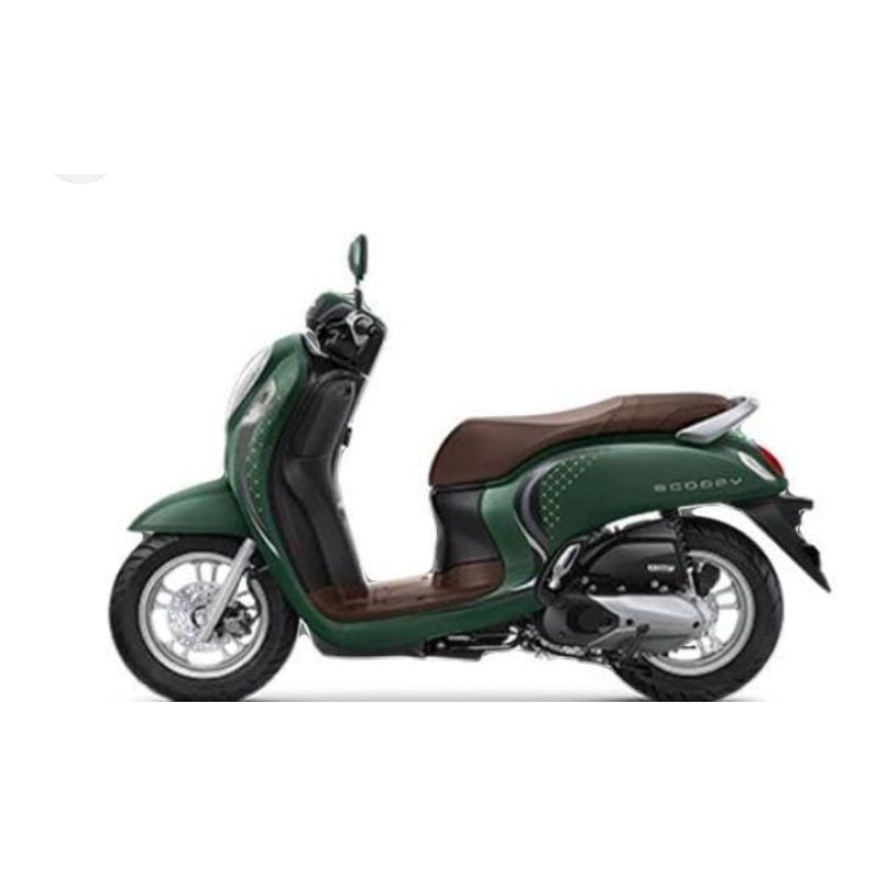 CAT SCOOPY GREEN DOFF